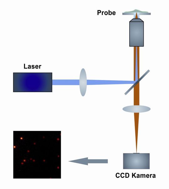 1 Prinzipieller Aufbau eines dSTORM Mikroskops: Das Anregungslicht eines Lasers (blau) wird durch ein Objektiv auf eine Probe geleitet, und auf diese Weise Farbstoffe zur Aussendung von Fluoreszenzlicht angeregt (orange). Das Fluoreszenzsignal einzelner Moleküle wird mit hochempfindlichen CCD-Kameras detektiert. Bilder: Uni Würzburg 1 Prinzipieller Aufbau eines dSTORM Mikroskops: Das Anregungslicht eines Lasers (blau) wird durch ein Objektiv auf eine Probe geleitet, und auf diese Weise Farbstoffe zur Aussendung von Fluoreszenzlicht angeregt (orange). Das Fluoreszenzsignal einzelner Moleküle wird mit hochempfindlichen CCD-Kameras detektiert. Bilder: Uni Würzburg