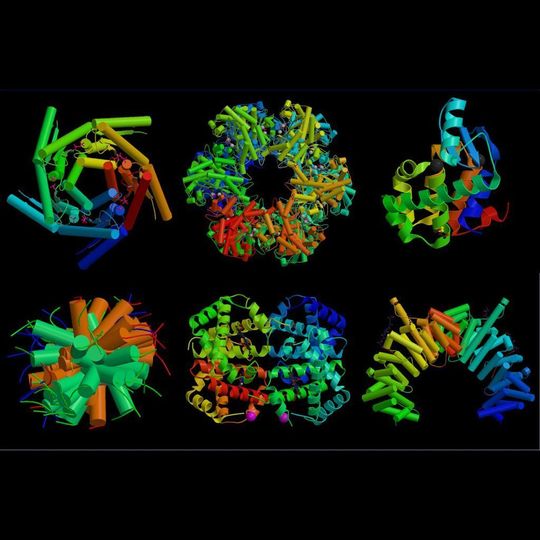 Jüngste Ergebnisse aus der Proteinforschung belegen, dass Proteine ohne Wasserzusatz in flüssige Form gebracht werden können und dabei ihre biologische Funktion beibehalten. Jüngste Ergebnisse aus der Proteinforschung belegen, dass Proteine ohne Wasserzusatz in flüssige Form gebracht werden können und dabei ihre biologische Funktion beibehalten.