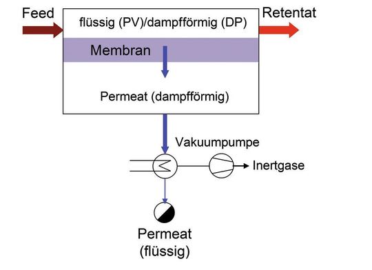 1 Prinzip der Pervapo-ration (PV) und Dampfpermeation (DP). Bilder: Fraunhofer IKTS 1 Prinzip der Pervapo-ration (PV) und Dampfpermeation (DP). Bilder: Fraunhofer IKTS