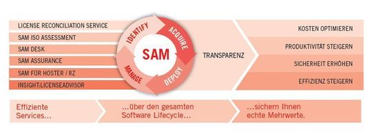 Software Asset Management hilft bei der Vermeidung von Fehllizenzierungen. Software Asset Management hilft bei der Vermeidung von Fehllizenzierungen.