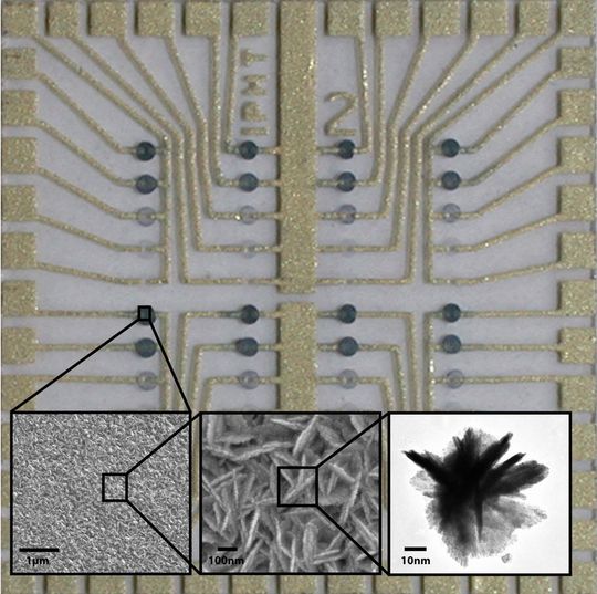 1 Struktur der enzymatisch generierten Silbernanopartikel – die außergewöhnliche, Wüstenrosen-ähnliche Struktur der EGNP, begünstigt eine hohe Verstärkung des Raman-Signals. (Bilder: IPHT Jena) 1 Struktur der enzymatisch generierten Silbernanopartikel – die außergewöhnliche, Wüstenrosen-ähnliche Struktur der EGNP, begünstigt eine hohe Verstärkung des Raman-Signals. (Bilder: IPHT Jena)