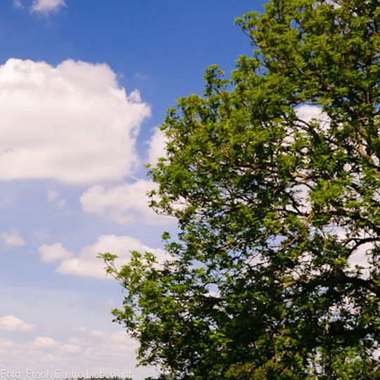 Green-IT - Virtualisierung kann die Umwelt schonen Green-IT - Virtualisierung kann die Umwelt schonen