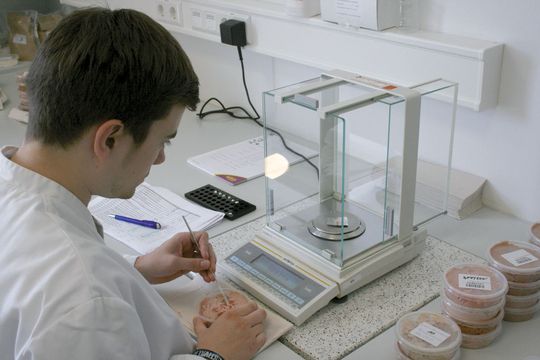 Abb. 1: Einwiegen von Wurstproben für die Analyse – Lebensmittel werden routinemäßig z.B. auf ihr mögliches Gefährdungspotenzial hin untersucht. Abb. 1: Einwiegen von Wurstproben für die Analyse – Lebensmittel werden routinemäßig z.B. auf ihr mögliches Gefährdungspotenzial hin untersucht.