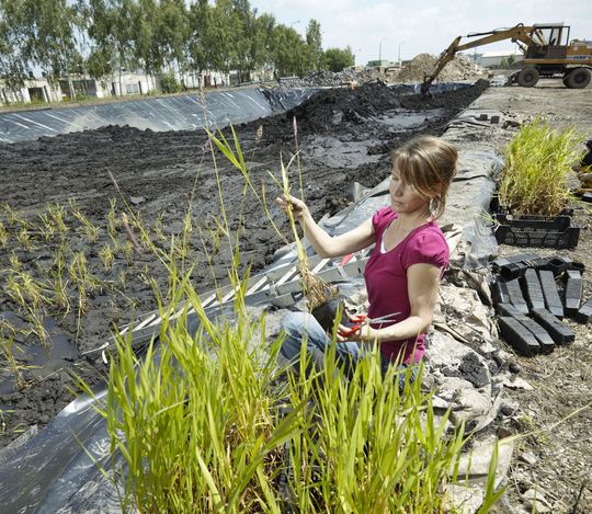 Abb. 1: Versuchsanlage zur Sedimentkonditionierung. (Ausschnitt, Bild: A. Künzelmann/UFZ) Abb. 1: Versuchsanlage zur Sedimentkonditionierung. (Ausschnitt, Bild: A. Künzelmann/UFZ)