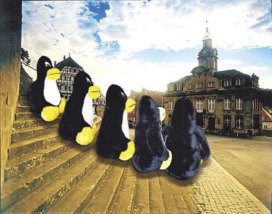 Der Pinguin ist im Rathaus Schwäbisch Hall heimisch geworden Der Pinguin ist im Rathaus Schwäbisch Hall heimisch geworden