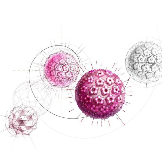 Nahezu alle Fälle von Gebärmutterhalskrebs sind auf eine persistierende Infektion mit humanen Papillomviren – HPV – zurückzuführen. Nahezu alle Fälle von Gebärmutterhalskrebs sind auf eine persistierende Infektion mit humanen Papillomviren – HPV – zurückzuführen.