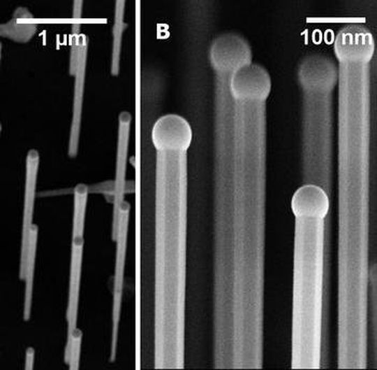 A) Rasterelektronenmikroskop-Aufnahme eines Nanodraht-Feldes. B) Nahaufnahme einiger Nanodrähte. (Ausschnitt) A) Rasterelektronenmikroskop-Aufnahme eines Nanodraht-Feldes. B) Nahaufnahme einiger Nanodrähte. (Ausschnitt)