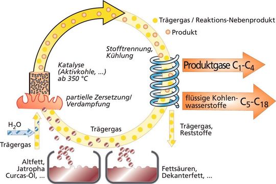 Abb. 1: Verfahrensschema des Greasoline-Prozesses (Bild: Fraunhofer UMSICHT) Abb. 1: Verfahrensschema des Greasoline-Prozesses (Bild: Fraunhofer UMSICHT)