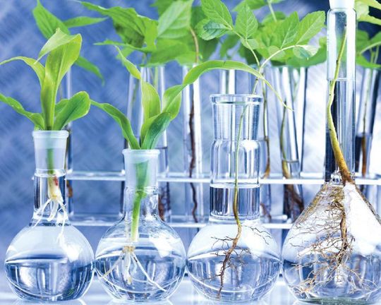 The Chemical Industry in India is Poised to Chart Strong Growth in the ...