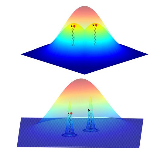 Das Fluoreszenzsignal von zwei Proben kann sich überlagern und unter die Beugungsgrenze fallen. Durch die Möglichkeit, einzelne Sonden abzubilden, kann man die Position sehr viel genauer rekonstruieren. (Bild: Uni Heidelberg) Das Fluoreszenzsignal von zwei Proben kann sich überlagern und unter die Beugungsgrenze fallen. Durch die Möglichkeit, einzelne Sonden abzubilden, kann man die Position sehr viel genauer rekonstruieren. (Bild: Uni Heidelberg)