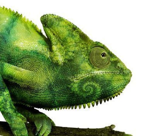 Novell/Suse schnappt sich die Code-Basis von ehemaliger Red-Hat-Entwicklung Satelilite/Spacewalk und entwickelt das Linux-Management für alle Derivate mit demselben Kernel weiter. Bild: Novell Novell/Suse schnappt sich die Code-Basis von ehemaliger Red-Hat-Entwicklung Satelilite/Spacewalk und entwickelt das Linux-Management für alle Derivate mit demselben Kernel weiter. Bild: Novell