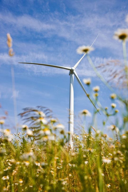 Gesteuert werden die getriebelosen Vensys-Windkraftanlagen von einem Embedded-PC CX1020. Bis heute wurden weltweit über 6.200 Windkraftanlagen nach Vensys-Design mit Beckhoff-Steuerungsplattform ausgeliefert. Gesteuert werden die getriebelosen Vensys-Windkraftanlagen von einem Embedded-PC CX1020. Bis heute wurden weltweit über 6.200 Windkraftanlagen nach Vensys-Design mit Beckhoff-Steuerungsplattform ausgeliefert.