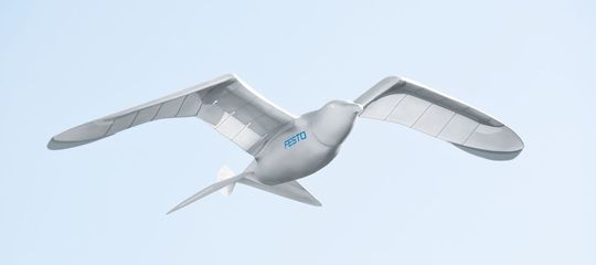 Eine ganz besondere Bewegung unterscheide den SmartBird von den bisherigen Schlagflügelapparaten ermöglicht es dem ultraleichten und leistungsstarken Flugmodell ermöglicht, eigenständig zu starten, zu fliegen und zu landen. (Bild: Festo)