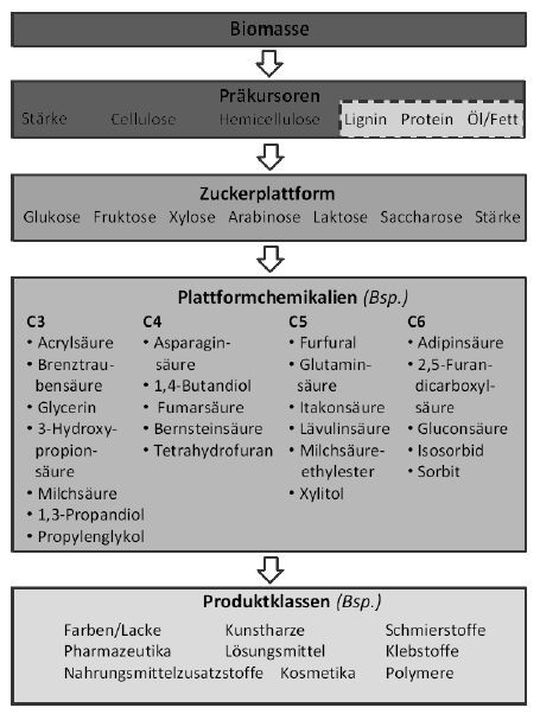 Beispiele für Biomasse-Präkursoren, Plattformchemikalien und Produktklassen bezogen auf die in dieser Studie untersuchten Stoffe. Lignin, Proteine, Öle und Fette waren nicht Gegenstand der Untersuchungen. (Grafik, Quelle: ZTC-Studie „Biomasse – Rohstoff der Zukunft für die chemische Industrie“) Beispiele für Biomasse-Präkursoren, Plattformchemikalien und Produktklassen bezogen auf die in dieser Studie untersuchten Stoffe. Lignin, Proteine, Öle und Fette waren nicht Gegenstand der Untersuchungen. (Grafik, Quelle: ZTC-Studie „Biomasse – Rohstoff der Zukunft für die chemische Industrie“)
