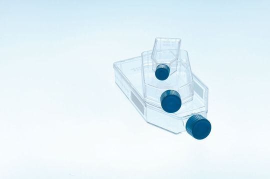 TC Zellkulturflasche (Bild: Greiner Bio-one) TC Zellkulturflasche (Bild: Greiner Bio-one)