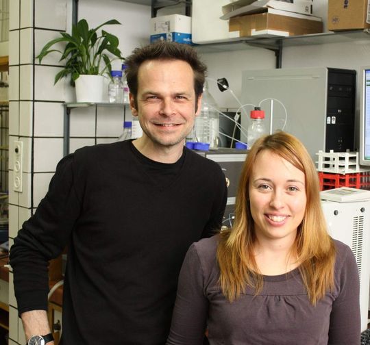Ronald Micura und Andrea Haller vom Institut für Organische Chemie und dem Centrum für Molekulare Biowissenschaften der Universität Innsbruck. (Bild: Thomas Müller) Ronald Micura und Andrea Haller vom Institut für Organische Chemie und dem Centrum für Molekulare Biowissenschaften der Universität Innsbruck. (Bild: Thomas Müller)