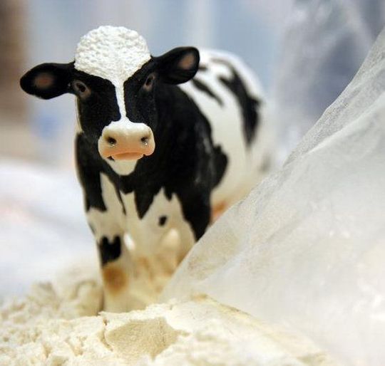 Die Verpackungsindustrie erschließt durch die Verwendung von Molkeprotein einen neuen lukrativen Markt für ein bisher entsorgtes Nebenprodukt der Käseherstellung. (Bild: ttz Bremerhaven)