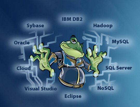 Die Toad-Suiten von Quest Software unterstützen bei der Verwaltung von heterogenen Datenbankumgebungen. Die Toad-Suiten von Quest Software unterstützen bei der Verwaltung von heterogenen Datenbankumgebungen.