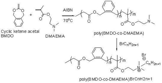 Abb. 1: Design von abbaubaren PDMAEMA als nichtvirale Gentransfektionssysteme: Copolymerisation zyklischer Ketenacetale und DMAEMA. (Bild: Uni Marburg) Abb. 1: Design von abbaubaren PDMAEMA als nichtvirale Gentransfektionssysteme: Copolymerisation zyklischer Ketenacetale und DMAEMA. (Bild: Uni Marburg)