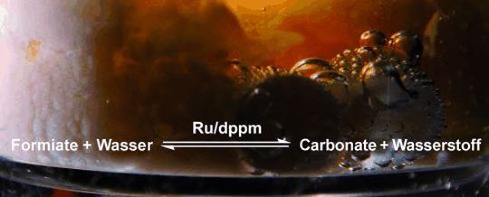 Das bei der Reaktion entstehende Kohlendioxid wird in Form von Biocarbonaten abgefangen. (Bild: Wiley-VCH)