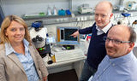Am Chipzytometer: Prof. Dr. Gesine Hansen, Dr. Christian Hennig und Jochen Brinkmann (von links). (Bild: Kaiser/MHH) Am Chipzytometer: Prof. Dr. Gesine Hansen, Dr. Christian Hennig und Jochen Brinkmann (von links). (Bild: Kaiser/MHH)
