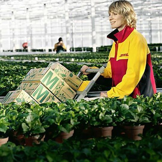 Im Rahmen des Go-Green-Projektes der Deutschen Post DHL leistet der Konzern für jedes beförderte Päckchen oder Paket einen Beitrag für Klimaschutzziele. Bild: Deutsche Post DHL Im Rahmen des Go-Green-Projektes der Deutschen Post DHL leistet der Konzern für jedes beförderte Päckchen oder Paket einen Beitrag für Klimaschutzziele. Bild: Deutsche Post DHL