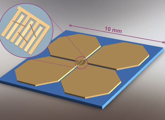 Im Sensor durchwandert die Raumluft eine Mäanderstruktur mit Nanoröhren. Kommen die Nanoröhren mit einem PETN-Molekül in Berührung, ändert sich die elektrische Leitfähigkeit der Röhren. (Bild: Mario Böhme / TU Darmstadt)