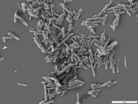 Rasterkraftmikroskopische Aufnahme von Halloysite-Nanoröhrchen, die als Füllstoffe die Temperaturbeständigkeit von Fluorkautschuken deutlich erhöhen. (Bild: M. Auf der Landwehr/IPF Dresden) Rasterkraftmikroskopische Aufnahme von Halloysite-Nanoröhrchen, die als Füllstoffe die Temperaturbeständigkeit von Fluorkautschuken deutlich erhöhen. (Bild: M. Auf der Landwehr/IPF Dresden)