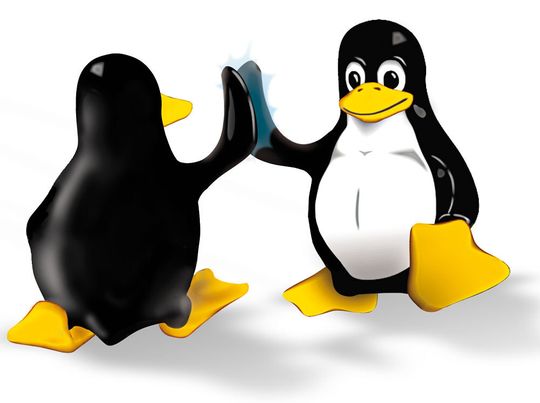 Linux-Migration: Alle Mitarbeiter mitnehmen Linux-Migration: Alle Mitarbeiter mitnehmen