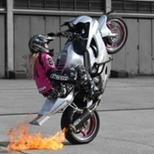 Wieder Feuer im Motorradmarkt: der August brachte ein sattes Plus. Wieder Feuer im Motorradmarkt: der August brachte ein sattes Plus.