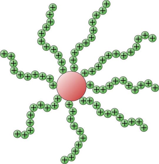 Abb. 1: Grundstruktur eines sternförmigen PDMAEMA-Moleküls.... (Bild: Christopher V. Synatschke, Lehrstuhl für Makromolekulare Chemie II, Universität Bayreuth) Abb. 1: Grundstruktur eines sternförmigen PDMAEMA-Moleküls.... (Bild: Christopher V. Synatschke, Lehrstuhl für Makromolekulare Chemie II, Universität Bayreuth)