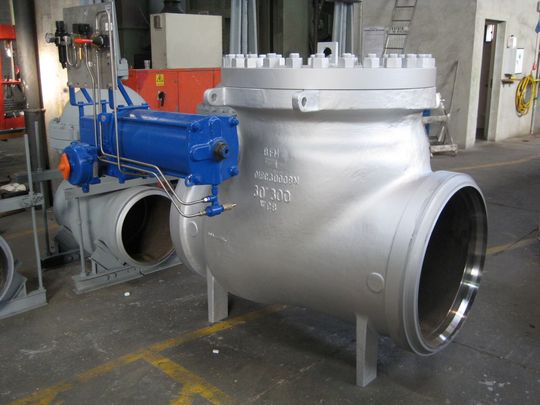 Fasani-Rückschlagklappe speziell für den Einsatz in Entnahmedampfleitungen (Tyco Flow)