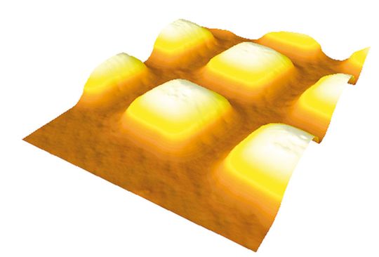 Spezielle Mikrolinsen ermöglichen künftig den 3-D-Blick ins Körperinnere. Sie bündeln die Lichtstrahlen präzise auf den Sensor. (Foto: Fraunhofer IMS) Spezielle Mikrolinsen ermöglichen künftig den 3-D-Blick ins Körperinnere. Sie bündeln die Lichtstrahlen präzise auf den Sensor. (Foto: Fraunhofer IMS)