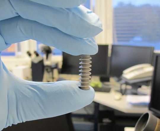 Prototyp einer Kreuzbandschraube aus Magnesium (Bild: Helmholtz-Zentrum Geesthacht (HZG)) Prototyp einer Kreuzbandschraube aus Magnesium (Bild: Helmholtz-Zentrum Geesthacht (HZG))