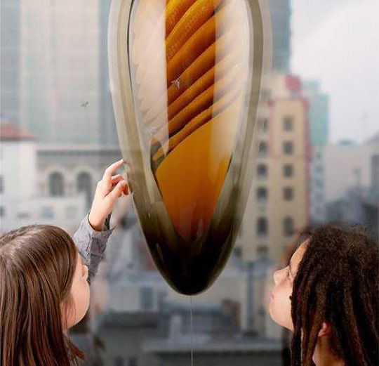 Der tropfenförmige Indoor-Bienenstock ist halbtransparent und erlaubt, den Bienen bei der Arbeit zuzusehen. (Philips) Der tropfenförmige Indoor-Bienenstock ist halbtransparent und erlaubt, den Bienen bei der Arbeit zuzusehen. (Philips)