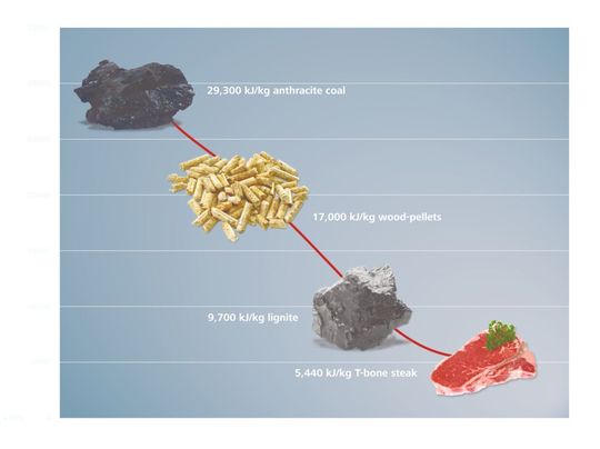 Abb.1: Energieinhalte von verschiedenen Proben (Bild: IKA) Abb.1: Energieinhalte von verschiedenen Proben (Bild: IKA)