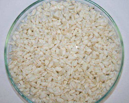 Fertig fermentierter Koj: Der weiße Pilzbewuchs auf den Reiskörnern ist deutlich erkennbar. Der Pilz wächst nicht nur auf der Oberfläche der Reiskörner, sondern auch in diesen hinein. (Bild: ttz Bremerhaven) Fertig fermentierter Koj: Der weiße Pilzbewuchs auf den Reiskörnern ist deutlich erkennbar. Der Pilz wächst nicht nur auf der Oberfläche der Reiskörner, sondern auch in diesen hinein. (Bild: ttz Bremerhaven)