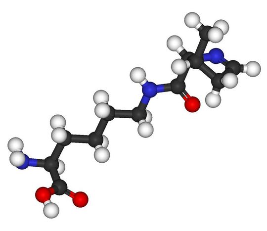 Vor zehn Jahren wurde eine zweiundzwanzigste Aminosäure entdeckt, das Pyrrolysin. (Bild: wikimedia.org) Vor zehn Jahren wurde eine zweiundzwanzigste Aminosäure entdeckt, das Pyrrolysin. (Bild: wikimedia.org)