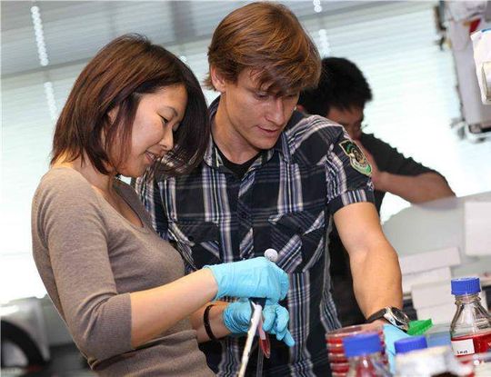 Ulrich Elling, Wissenschaftler in der Gruppe von Josef Penninger am IMBA, mit Kollegin an der Arbeit im Labor. (Bild: IMBA/Hans Krist) Ulrich Elling, Wissenschaftler in der Gruppe von Josef Penninger am IMBA, mit Kollegin an der Arbeit im Labor. (Bild: IMBA/Hans Krist)