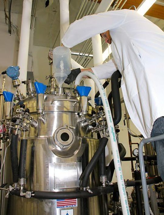 In der neuen Pilot-Anlage stellt Verdezyne stellt Adipinsäure mithilfe eines bitechnologischen Verfahrens her. (Bild: Business Wire)