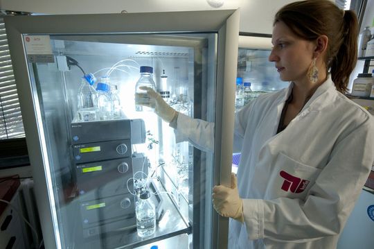 Im Biokatalyselabor der TU Berlin beschreiten die Mitarbeiter/innen von Prof. Budisa durch geschickte Umprogrammierung der Proteinsynthese neue Wege in der Ganzzellkatalyse. (TU Berlin) Im Biokatalyselabor der TU Berlin beschreiten die Mitarbeiter/innen von Prof. Budisa durch geschickte Umprogrammierung der Proteinsynthese neue Wege in der Ganzzellkatalyse. (TU Berlin)