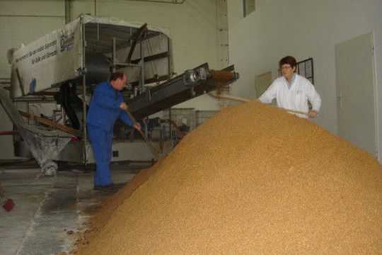 Mit der Schneckenpresse lassen sich auch unter Praxisbedingungen die grob strukturierten Faseranteile aus der Schlempe separieren. (Institut für Lebensmittel- und Umweltforschung)