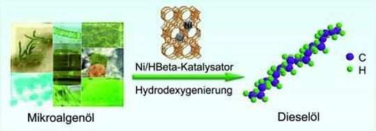 Ein neues katalytisches Verfahren wandelt Bio-Öle aus Mikroalgen effektiv in Dieselkraftstoffe um. (Bild: Wiley-VCH) Ein neues katalytisches Verfahren wandelt Bio-Öle aus Mikroalgen effektiv in Dieselkraftstoffe um. (Bild: Wiley-VCH)
