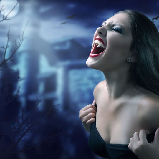 Dienstleister werden oft von Service-Vampiren heimgesucht. (Fotolia.com) Dienstleister werden oft von Service-Vampiren heimgesucht. (Fotolia.com)