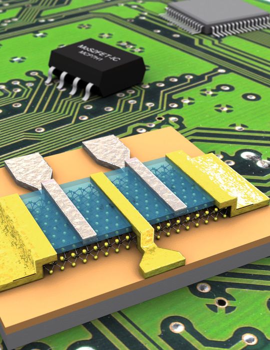 Circuit intégré MoS2. (EPFL) Circuit intégré MoS2. (EPFL)