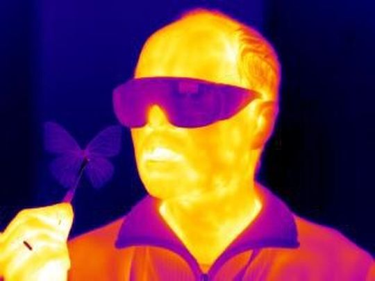 Ein Wärmebild von Projektleiter Radislav Potyrailo mit einem Schmetterling, aufgenommen mit dem neuen Thermosensor Ein Wärmebild von Projektleiter Radislav Potyrailo mit einem Schmetterling, aufgenommen mit dem neuen Thermosensor