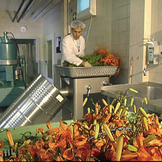 Lückenlose Dokumentation der Inhaltsstoffe ist in der Pharmaindustrie Pflicht. Im Bild Rohstoffanlieferung bei Pascoe, einem Hersteller pharmazeutischer Arzneimittel auf pflanzlicher Basis. (Bild: Cormeta)