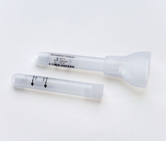 Der Salivagene Collector besteht aus einem Röhrchen, das mit einem festen, lyophilisierten DNA-Stabilisierungspuffer gefüllt ist, und einem Trichteraufsatz für die leichte und sichere Probenabgabe. (Bild: Stratec) Der Salivagene Collector besteht aus einem Röhrchen, das mit einem festen, lyophilisierten DNA-Stabilisierungspuffer gefüllt ist, und einem Trichteraufsatz für die leichte und sichere Probenabgabe. (Bild: Stratec)