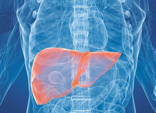 Der Enhanced-Liver-Fibrosis-(ELF-)Test von Siemens ist das nach eigenen Angaben erste automatisierte Biomarker-Testmenü zur Beurteilung von Leberfibrose in der klinischen Routine. (Bild: Siemens) Der Enhanced-Liver-Fibrosis-(ELF-)Test von Siemens ist das nach eigenen Angaben erste automatisierte Biomarker-Testmenü zur Beurteilung von Leberfibrose in der klinischen Routine. (Bild: Siemens)