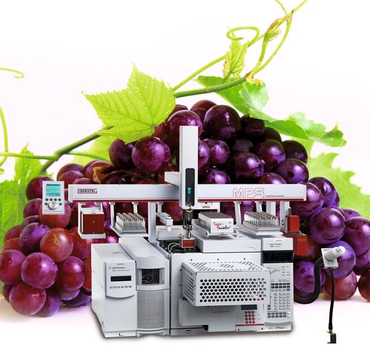 Abb. 1: 1 Das eingesetzte 1D/Heart-cut-2D-GC-O/MS-PFC-System zur Analyse von Duftstoffen in Wein. (Bild: Gerstel) Abb. 1: 1 Das eingesetzte 1D/Heart-cut-2D-GC-O/MS-PFC-System zur Analyse von Duftstoffen in Wein. (Bild: Gerstel)